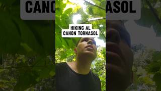 hiking al Cañón Tornasol en caguas puertorico pue [upl. by Ennaillek]