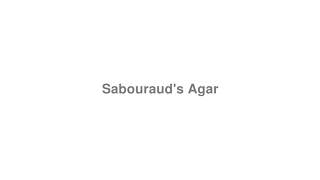 How to Pronounce quotSabourauds Agarquot [upl. by Aleit]