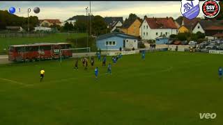 Landesliga Mitte 14 Spieltag SVSE vs Eggenfelden [upl. by Cull]