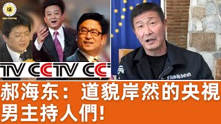 【郝海东】CCTV男主持们毫无道德底线道貌岸然，张宏民骂粉丝傻逼，朱军玩弄观众“看我把这帮傻逼弄哭”，许旸童可欣乱交，张斌数次出轨 郝海东 张斌 朱军 白岩松 许旸 童可欣 足球 [upl. by Winterbottom]