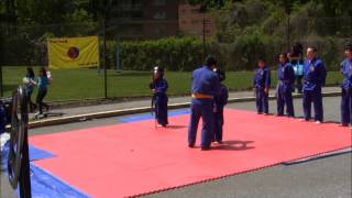 Vovinam Demo at Long Branch Community Center [upl. by Ogden]