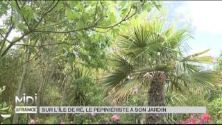 LE FEUILLETON  Sur lÎle de ré le pépiniériste a son jardin [upl. by Clancy]