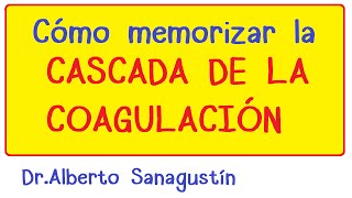 Memoriza la Cascada de la Coagulación Hematología [upl. by Hpejsoj765]