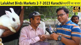 Lalukhet Exotic Birds Parrots and Hen Rooster Markets 272023 Karachi Rare and Unique Birds [upl. by Derreg596]