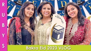 Bakra Eid 2023 VLOG in Urdu Hindi  RKK [upl. by Yvaht955]