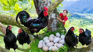 Harvest PHANTASMAL CHICKEN in Deep Forest Goes to market sell  Ella Daily Life [upl. by Kiyoshi207]