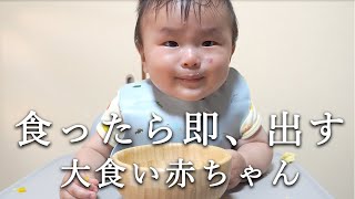 大食い赤ちゃん ある１日のお食事vlog [upl. by Vladi]