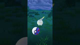 Caching a wild Togedemaru pokemon go pokemon pokemongo togedemaru [upl. by Hollenbeck678]