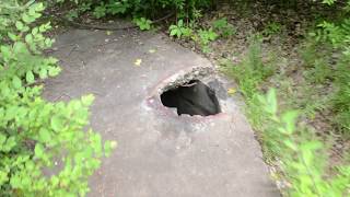 Exploring The Ruins of a WWII Munitions Factory in Minnesota Secret Tunnel Found [upl. by Koran]