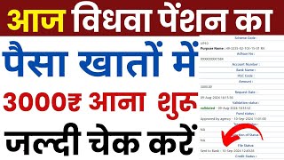 आज विधवा पेंशन का पैसा 3000 रुपये फिर से डाले गए  UP New Vidhwa Pension Kab Aayegi 2024 [upl. by Eleen143]