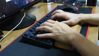 Leopold FC750R Silent Red Typing Sound 저소음 적축 타건 [upl. by Ayin]