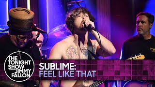 Sublime Feel Like That  The Tonight Show Starring Jimmy Fallon [upl. by Nirihs]