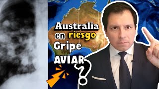 ¡ALERTA GRIPE AVIAR AVANZA EN AUSTRALIA [upl. by Mazman]