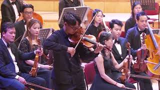 Excerpt from Mozart  Violin Concerto No2 cadenza [upl. by Ahtiuqal634]