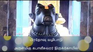 🔴பிரதோஷ வழிபாடு நாள் 24122023 மாலை 415 மணி முதல்🔴நேரலை [upl. by Yemiaj659]