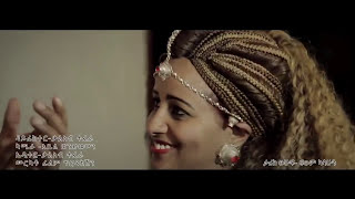 Washehuዋሸሁ እንዴ Alemye Getachew2016 amharic music [upl. by Ahsiekit939]