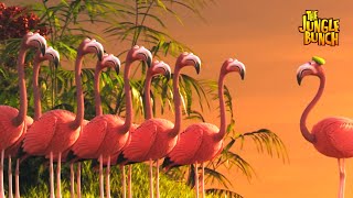 Flight Of The Flamingos  Jungle Bunch S03E28  Cartoon For Kids [upl. by Aerbma]