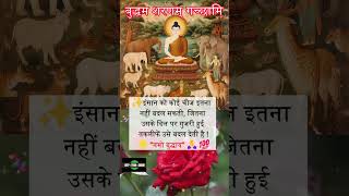 तकलीफें  Gautam Buddha Anmol Vachan anmolvachan buddhaquotes shorts ytshorts Buddha Quotes [upl. by Arehs]