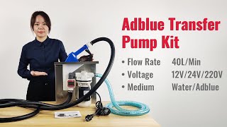 40LPM Flow Rate Electric Adblue Def Transfer Pump Kit for IBC [upl. by Korwin]