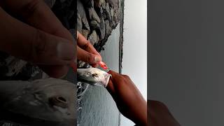 mid water jigging🔥😵with 15 grams jig😁💪 fishing jigging [upl. by Noeht]