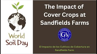 The Impact of Cover Crops  Sandfields Farms  World Soil Day 2024 [upl. by James]