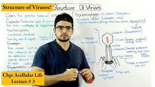 Structure of bacteriophage [upl. by Yun]