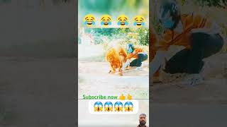 The dog snake with a public place reaction videonon stop nonstopfunny viralshort 😱😱😱 [upl. by Marylin]