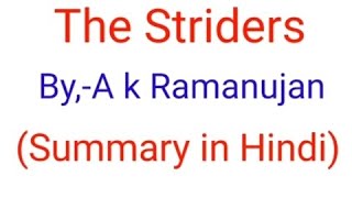 The Striders explanation in Hindi A K RamanujanEnglish [upl. by Darnell382]