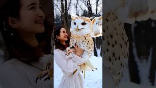 Reele bnari commercial use karri mera chitti funny owl ytshots shortsfeed mrowl owlery [upl. by Rabin]