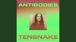 Antibodies Dombresky amp Boston Bun Extended Remix [upl. by Erde]