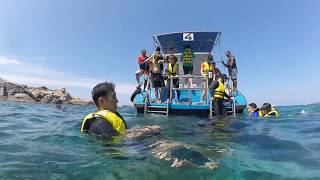 Pulau Redang Snorkeling [upl. by Nnep]