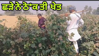 ਨਰਮੇ ਚੁਗਣ ਵਾਲੀ ਰਗੜਤੀ Punjabi short movie 2024 viralvideo trading [upl. by Ennovehc365]