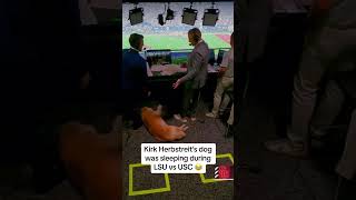 Kirk Herbstreit’s dog was sleeping during LSU vs USC 🤣 via espn [upl. by Haneeja]