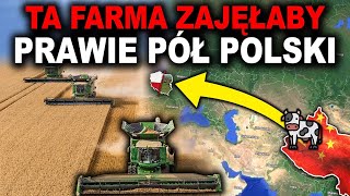 JAK WYGLĄDAJĄ NAJWIĘKSZE FARMY ŚWIATA [upl. by Phina620]