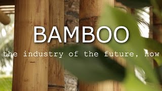 BAMBOO  The industry of the future now [upl. by Adian965]