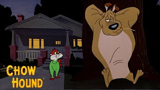 Chow Hound 1951 Warner Bros Looney Tunes Cartoon Short Film  Review [upl. by Sokcin]