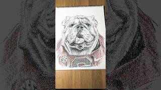 Go Dawgs uga georgia mascot micrography WordArt xyz [upl. by Yasu]