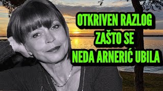 POSLE ČETIRI GODINE GODINE OTKRIVEN UZNEMIRUJUĆ RAZLOG ZAŠTO SE NEDA ARNERIĆ UBILAPROBLEM OČIGLEDAN [upl. by Aibos]