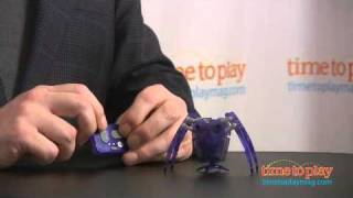 Hexbug Inchworm from Innovation First [upl. by Ediva]