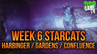 Starcats Location Guide  Harbingers  Gardens  Confluence  WEEK 6 Starcats  Destiny 2 [upl. by Casar]