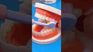 3 Sided Modern Toothbrush 🔥 shortsvideo shorts gadgets [upl. by Htrow]