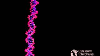 Inhibitors of Nucleic Acid Synthesis [upl. by Mount]