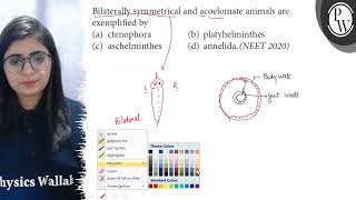 Bilaterally symmetrical and acoelomate animals are exemplified by P [upl. by Helali]