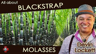 🔴 Blackstrap Molasses 🎋 Health Benefits and uses 🥞 [upl. by Nallac362]