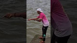 काकाने पकडला मोठा मासा fishing kokanfishing fish konkanfishing fisherman shortsfeed ytshort [upl. by Anaic]