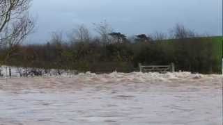 Floods on Somerset Moors levels 25 Nov 2012 near East Lyng [upl. by Byrann]