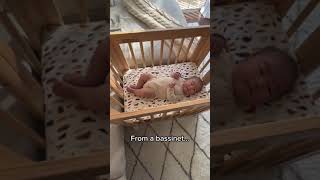 A bassinet crib and junior bed allinone 🤩 feat our Yuzu 8in1 Crib [upl. by Esiahc17]