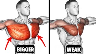 Top 7 Chest Workout To Build BIGGER Chest [upl. by Lole777]