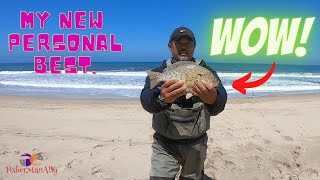 Barred Surfperch Half Moon Bay Fishing [upl. by Sibell]