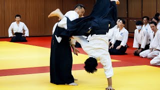 Amazing Aikido in Taiwan [upl. by Airdnassac]